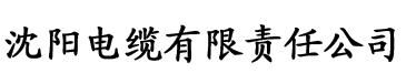 理论影院在线电缆厂logo